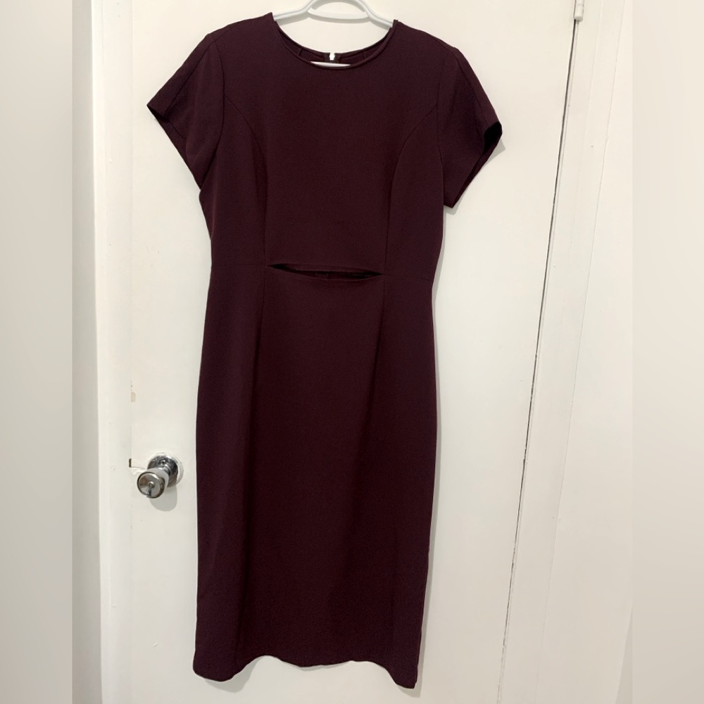 NWOT Babaton Cut-out dress